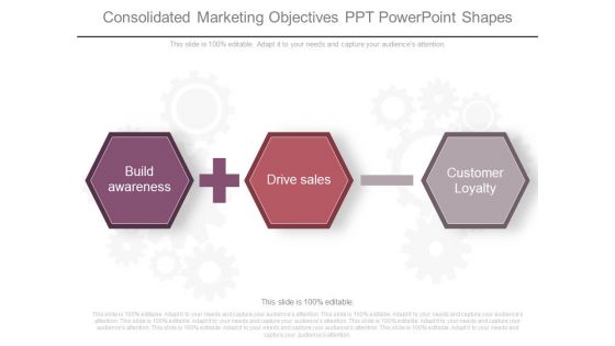 Consolidated Marketing Objectives Ppt Powerpoint Shapes