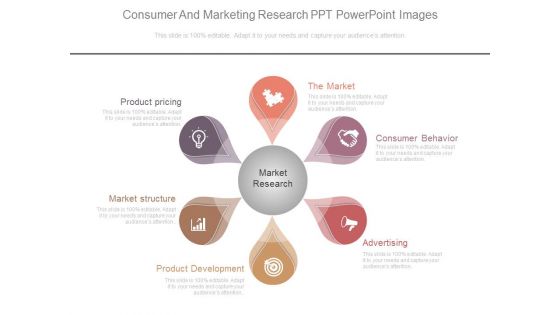 Consumer And Marketing Research Ppt Powerpoint Images