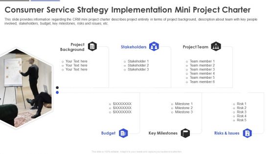 Consumer Service Strategy Implementation Mini Project Charter Infographics PDF
