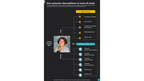 Consumer Success Journey Playbook Template