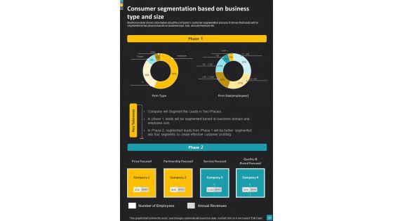Consumer Success Journey Playbook Template