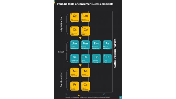 Consumer Success Journey Playbook Template