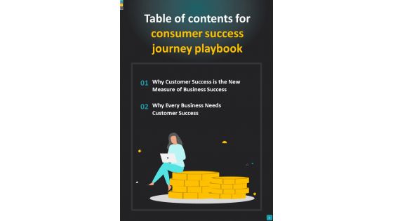 Consumer Success Journey Playbook Template