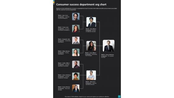 Consumer Success Journey Playbook Template