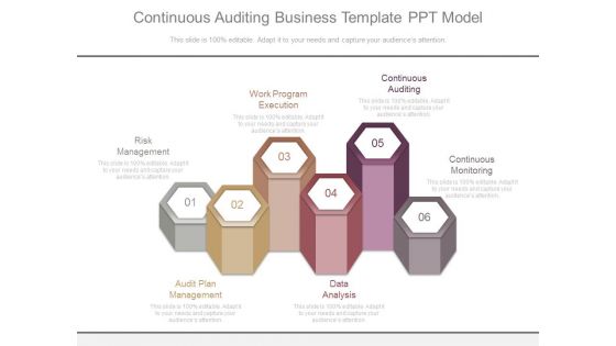 Continuous Auditing Business Template Ppt Model Continuous Auditing Business Template Ppt Model
