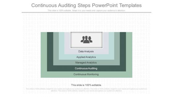 Continuous Auditing Steps Powerpoint Templates