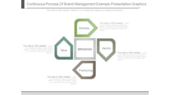 Continuous Process Of Brand Management Example Presentation Graphics