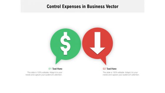 Control Expenses In Business Vector Ppt PowerPoint Presentation Inspiration Portrait