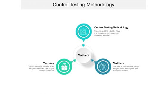 Control Testing Methodology Ppt PowerPoint Presentation Outline Gallery Cpb