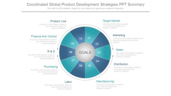 Coordinated Global Product Development Strategies Ppt Summary