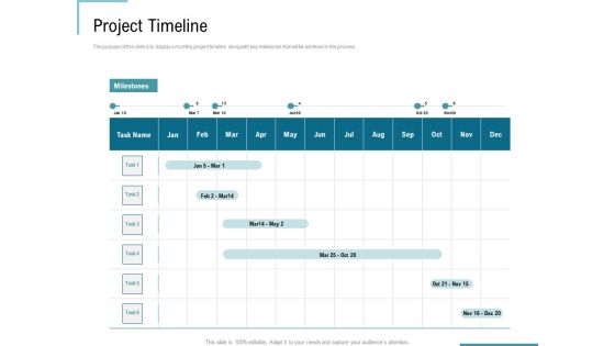 Corporate Execution And Financial Liability Report Project Timeline Pictures PDF
