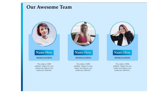 Corporate Fundraising Ideas And Strategies Our Awesome Team Ppt Ideas Outline PDF