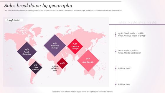 Cosmetics And Skin Care Company Profile Sales Breakdown By Geography Brochure PDF