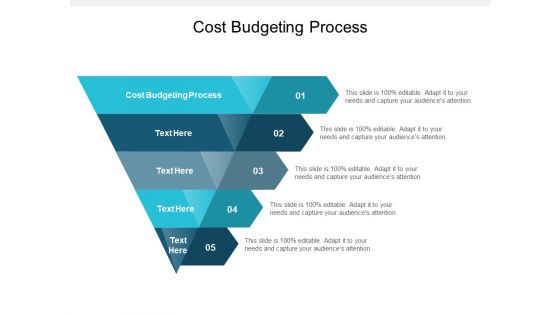 Cost Budgeting Process Ppt PowerPoint Presentation Outline Introduction Cpb