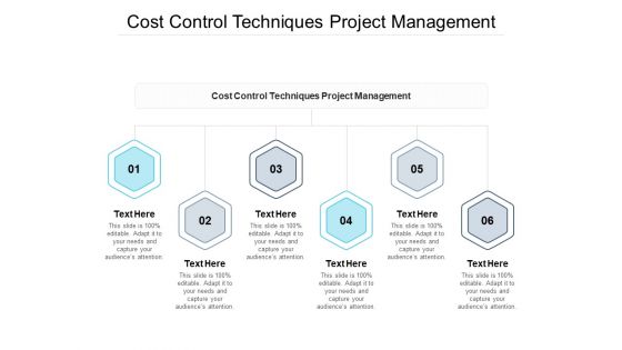Cost Control Techniques Project Management Ppt PowerPoint Presentation Infographic Template Cpb Pdf
