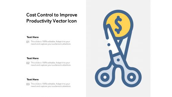 Cost Control To Improve Productivity Vector Icon Ppt PowerPoint Presentation Gallery Portfolio PDF