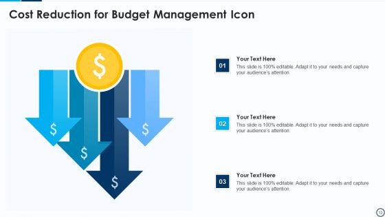 Cost Reduction Ppt PowerPoint Presentation Complete With Slides