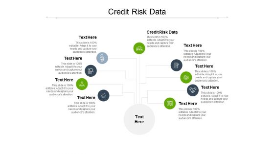Credit Risk Data Ppt PowerPoint Presentation Styles Summary Cpb