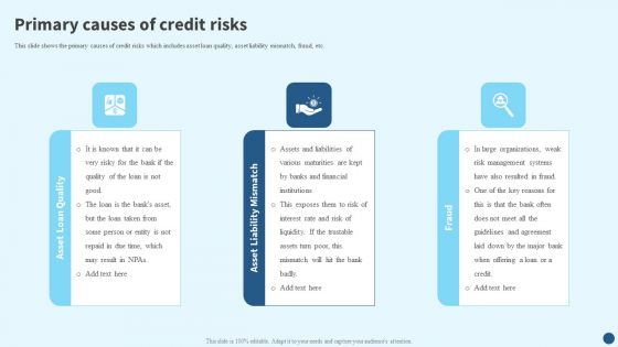 Credit Risk Management Primary Causes Of Credit Risks Formats PDF