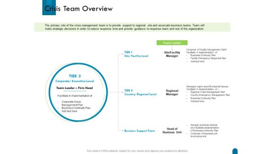 Crisis Management Crisis Team Overview Ppt Professional Template PDF