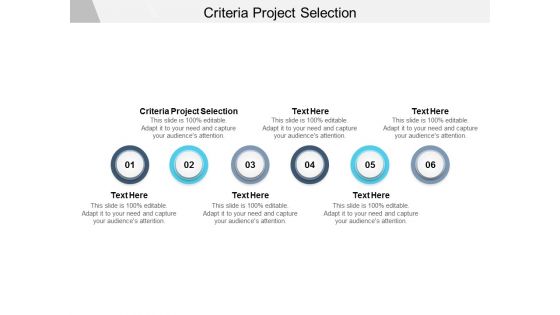 Criteria Project Selection Ppt PowerPoint Presentation Model Inspiration Cpb