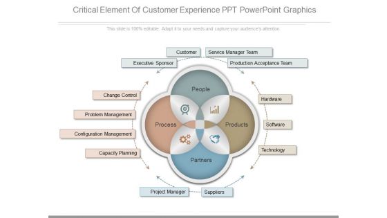 Critical Element Of Customer Experience Ppt Powerpoint Graphics