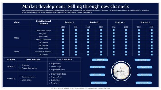 Critical Initiatives To Deploy Market Development Selling Through New Channels Summary PDF Critical Initiatives To Deploy Market Development Selling Through New Channels Summary PDF