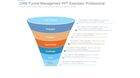 Crm Funnel Management Ppt Examples Professional