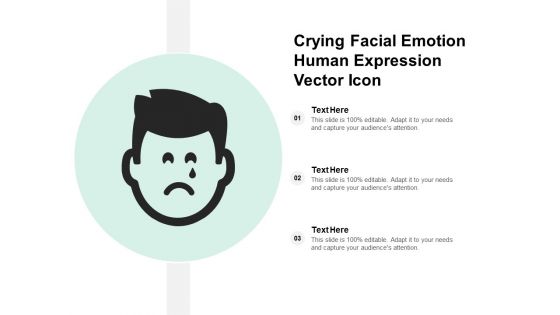 Crying Facial Emotion Human Expression Vector Icon Ppt Powerpoint Presentation Infographics Show