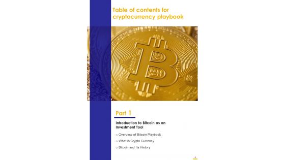 Cryptocurrency Playbook Template