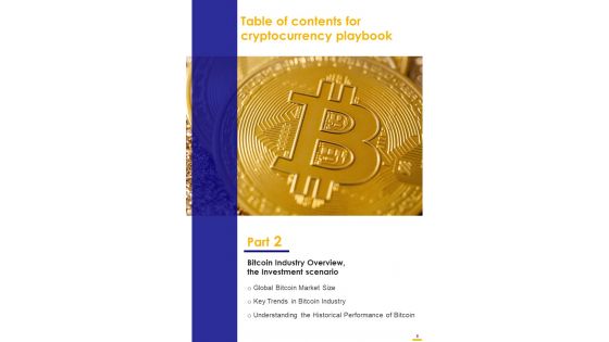 Cryptocurrency Playbook Template