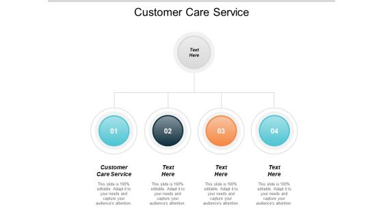 Customer Care Service Ppt PowerPoint Presentation Infographic Template Professional Cpb