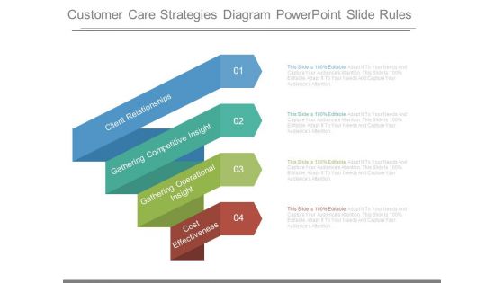 Customer Care Strategies Diagram Powerpoint Slide Rules