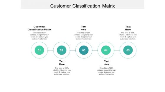 Customer Classification Matrix Ppt PowerPoint Presentation File Background Cpb