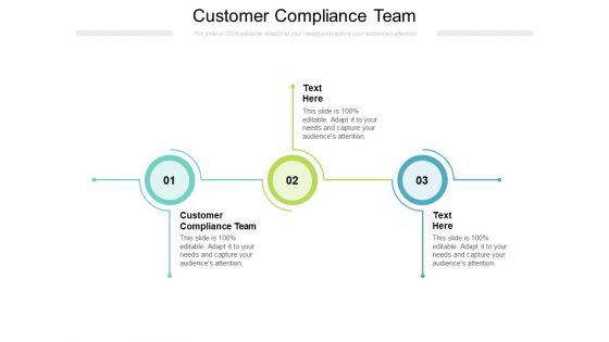 Customer Compliance Team Ppt PowerPoint Presentation Outline File Formats Cpb