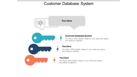 Customer Database System Ppt PowerPoint Presentation Summary Elements Cpb