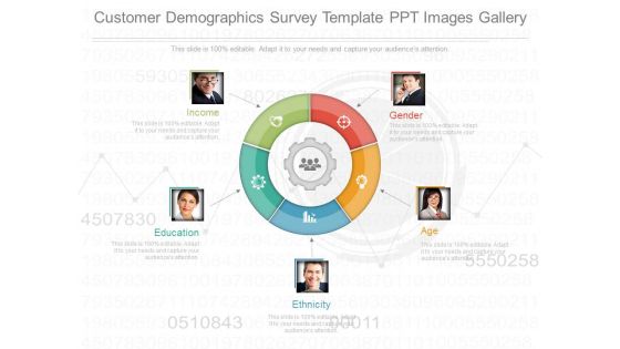 Customer Demographics Survey Template Ppt Images Gallery