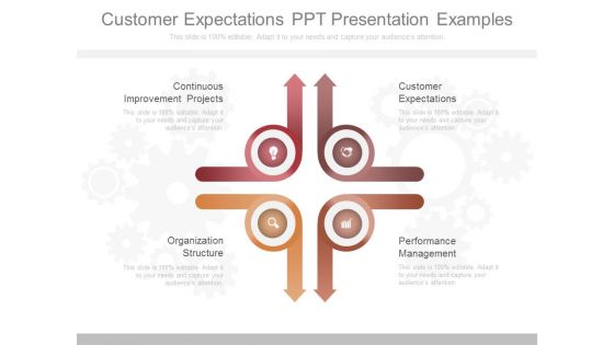 Customer Expectations Ppt Presentation Examples