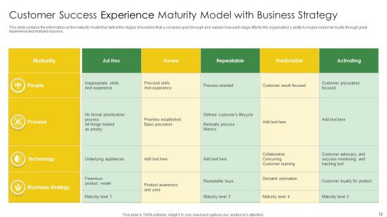 Customer Experience Maturity Model Ppt PowerPoint Presentation Complete With Slides