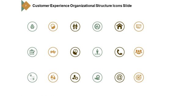 Customer Experience Organizational Structure Ppt PowerPoint Presentation Complete Deck With Slides