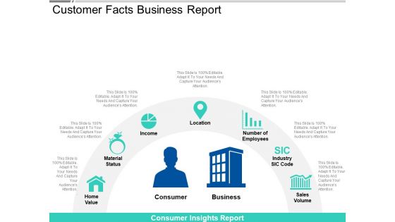 Customer Facts Business Report Ppt PowerPoint Presentation Styles Professional PDF