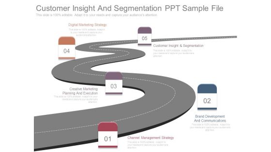 Customer Insight And Segmentation Ppt Sample File
