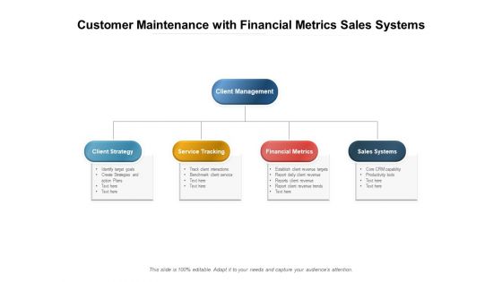 Customer Maintenance With Financial Metrics Sales Systems Ppt PowerPoint Presentation Portfolio Picture