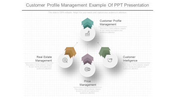 Customer Profile Management Example Of Ppt Presentation