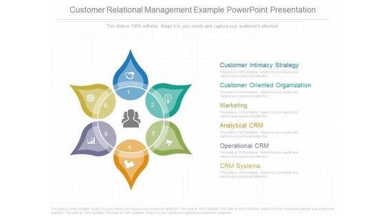 Customer Relational Management Example Powerpoint Presentation