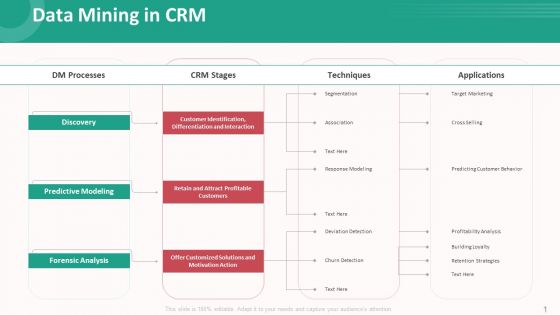 Customer Relationship Management Action Plan Data Mining In Crm Microsoft PDF