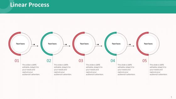 Customer Relationship Management Action Plan Linear Process Inspiration PDF