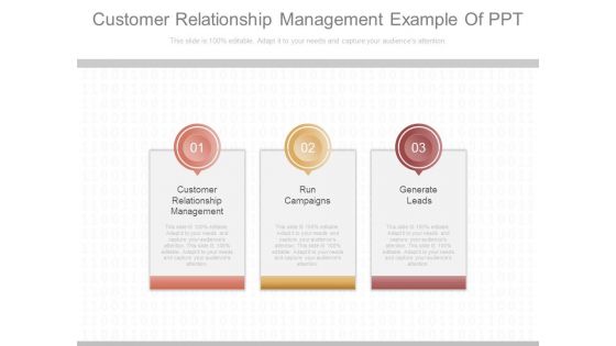 Customer Relationship Management Example Of Ppt