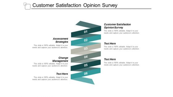 Customer Satisfaction Opinion Survey Assessment Strategies Change Management Ppt PowerPoint Presentation Gallery Vector
