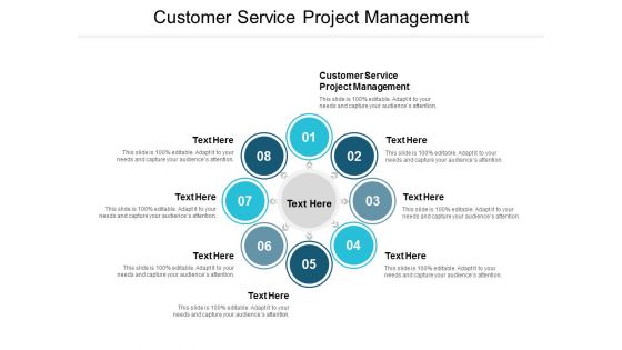 Customer Service Project Management Ppt PowerPoint Presentation Show Summary Cpb
